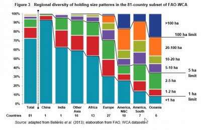Gráfico produzido pela FAO indicando a distribuição das propriedades agrícolas por tamanho em hectares em várias partes do mundo.
