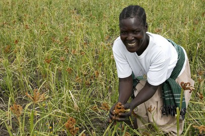 Bicentina Auma, líder de uma cooperativa de pequenos agricultores do norte de Uganda. Foto UKAid/Flickr