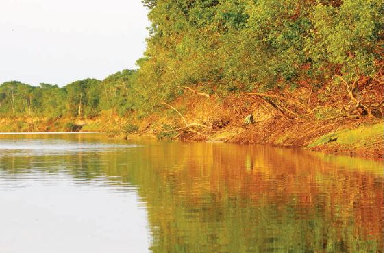O trabalho pretende envolver os proprietários rurais às margens do Rio Araguaia na composição do que poderá vir a ser o maior corredor de biodiversidade do mundo, com trechos de até 40 quilômetros de largura, 20 de cada lado do rio, abarcando 10,4 milhões de hectares ao todo