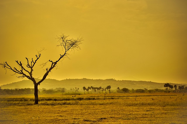 dry-856544_640