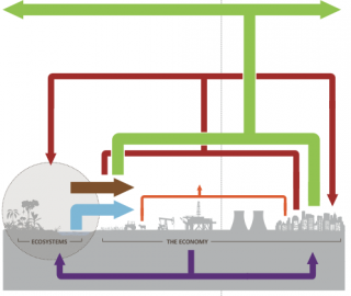 TEEB Business Coaltion 