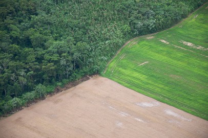 Expansão agrícola na Bolívia. Foto de Sam Beebe/Flickr