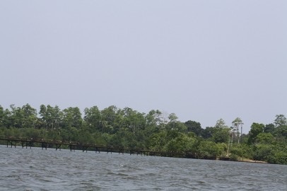 Mangue em Colombo, Sri Lanka